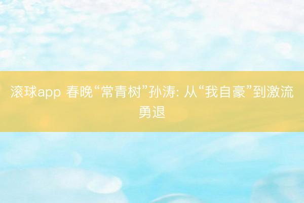 滚球app 春晚“常青树”孙涛: 从“我自豪”到激流勇退