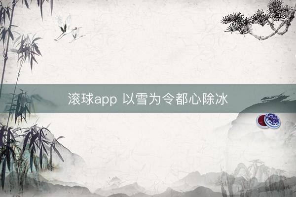 滚球app 以雪为令都心除冰