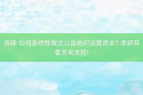 滚球 如何系统性裁汰公益组织运营资本? 李妍菲委员来支招!