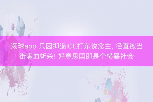 滚球app 只因抑遏ICE打东说念主, 径直被当街满血斩杀! 好意思国即是个横暴社会