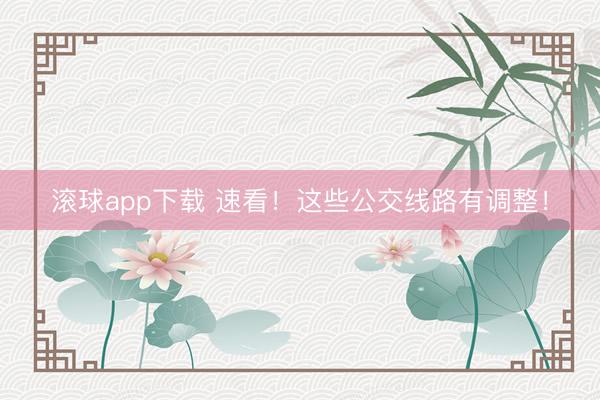 滚球app下载 速看！这些公交线路有调整！