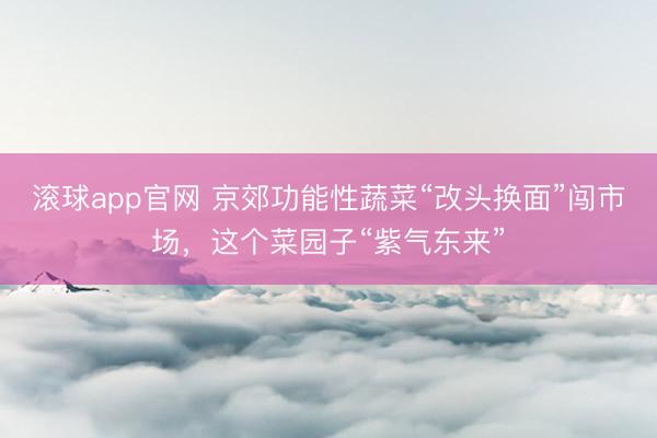 滚球app官网 京郊功能性蔬菜“改头换面”闯市场，这个菜园子“紫气东来”