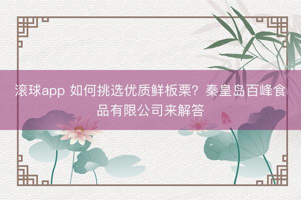滚球app 如何挑选优质鲜板栗？秦皇岛百峰食品有限公司来解答