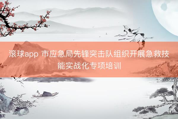 滚球app 市应急局先锋突击队组织开展急救技能实战化专项培训