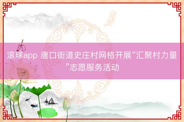 滚球app 唐口街道史庄村网格开展“汇聚村力量”志愿服务活动