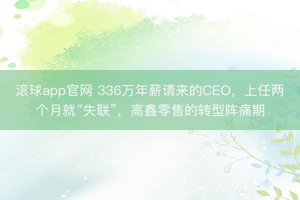 滚球app官网 336万年薪请来的CEO，上任两个月就“失联”，高鑫零售的转型阵痛期