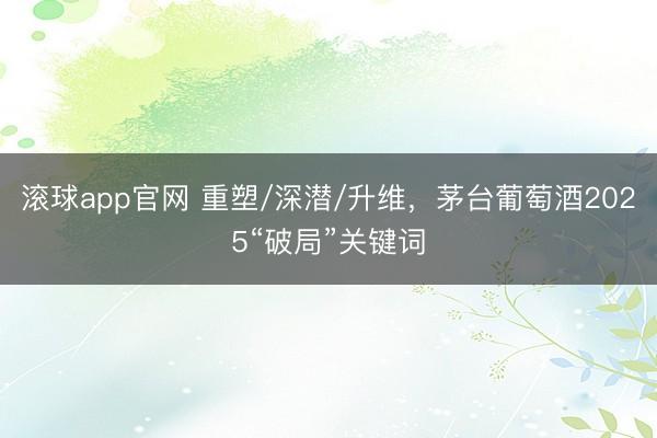 滚球app官网 重塑/深潜/升维，茅台葡萄酒2025“破局”关键词