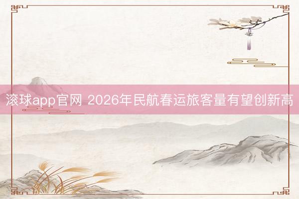 滚球app官网 2026年民航春运旅客量有望创新高