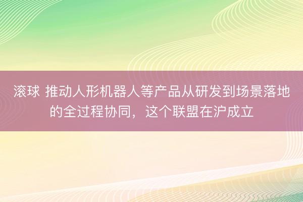 滚球 推动人形机器人等产品从研发到场景落地的全过程协同，这个联盟在沪成立