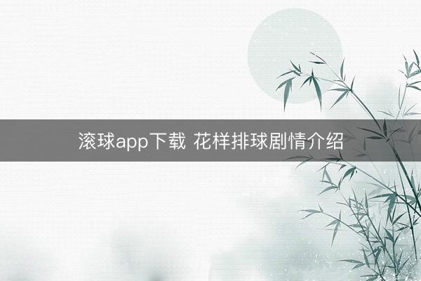 滚球app下载 花样排球剧情介绍