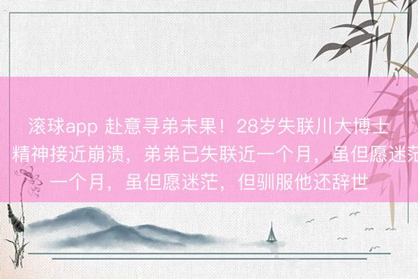 滚球app 赴意寻弟未果！28岁失联川大博士的姐姐已返归国内：精神接近崩溃，弟弟已失联近一个月，虽但愿迷茫，但驯服他还辞世