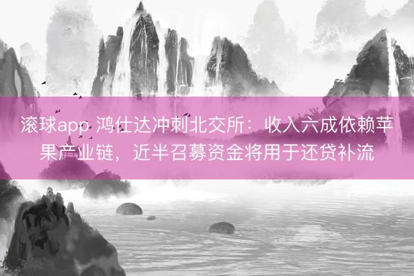 滚球app 鸿仕达冲刺北交所：收入六成依赖苹果产业链，近半召募资金将用于还贷补流