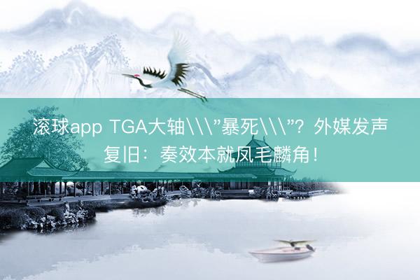 滚球app TGA大轴\