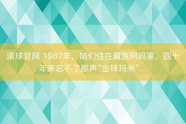 滚球官网 1987年，咱们住在藏族阿妈家，四十年来忘不了那声“金珠玛米”…