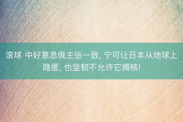 滚球 中好意思俄主张一致, 宁可让日本从地球上隐匿, 也坚韧不允许它拥核!