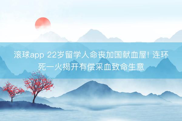 滚球app 22岁留学人命丧加国献血屋! 连环死一火揭开有偿采血致命生意