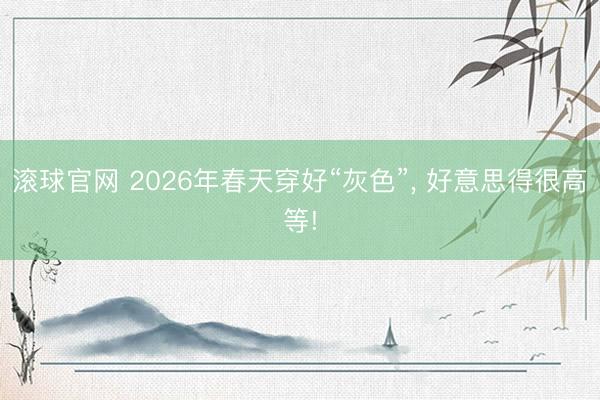 滚球官网 2026年春天穿好“灰色”, 好意思得很高等!