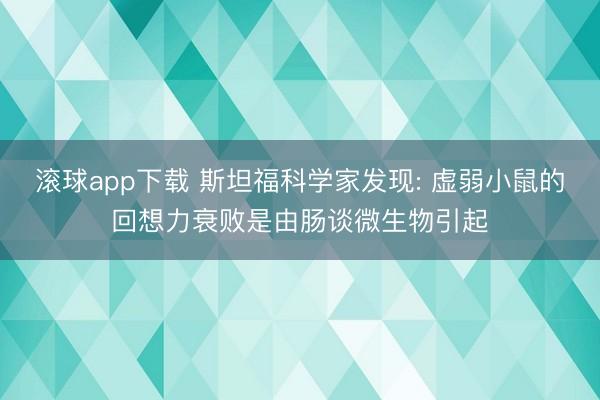 滚球app下载 斯坦福科学家发现: 虚弱小鼠的回想力衰败是由肠谈微生物引起