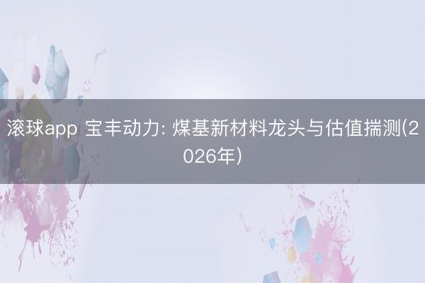 滚球app 宝丰动力: 煤基新材料龙头与估值揣测(2026年)
