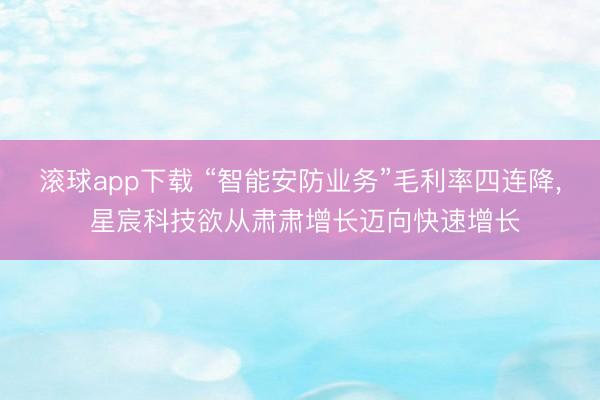 滚球app下载 “智能安防业务”毛利率四连降, 星宸科技欲从肃肃增长迈向快速增长