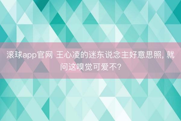 滚球app官网 王心凌的迷东说念主好意思照, 就问这嗅觉可爱不?