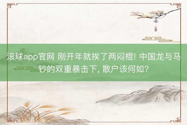 滚球app官网 刚开年就挨了两闷棍! 中国龙与马钞的双重暴击下, 散户该何如?