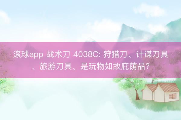 滚球app 战术刀 4038C: 狩猎刀、计谋刀具、旅游刀具、是玩物如故庇荫品?