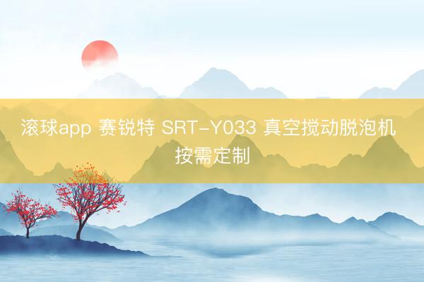 滚球app 赛锐特 SRT-Y033 真空搅动脱泡机 按需定制