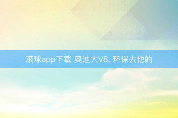 滚球app下载 奥迪大V8, 环保去他的
