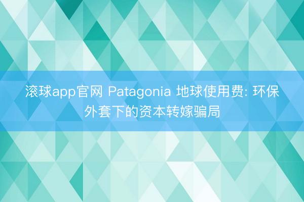 滚球app官网 Patagonia 地球使用费: 环保外套下的资本转嫁骗局