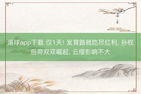 滚球app下载 仅1天! 发育路就吃尽红利， 孙权后羿双双崛起， 云缨影响不大