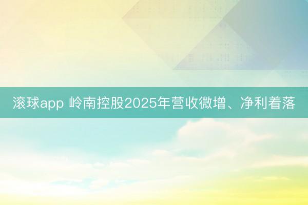 滚球app 岭南控股2025年营收微增、净利着落