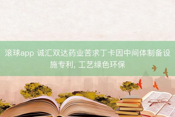 滚球app 诚汇双达药业苦求丁卡因中间体制备设施专利， 工艺绿色环保