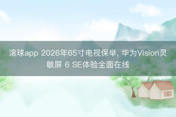 滚球app 2026年65寸电视保举, 华为Vision灵敏屏 6 SE体验全面在线