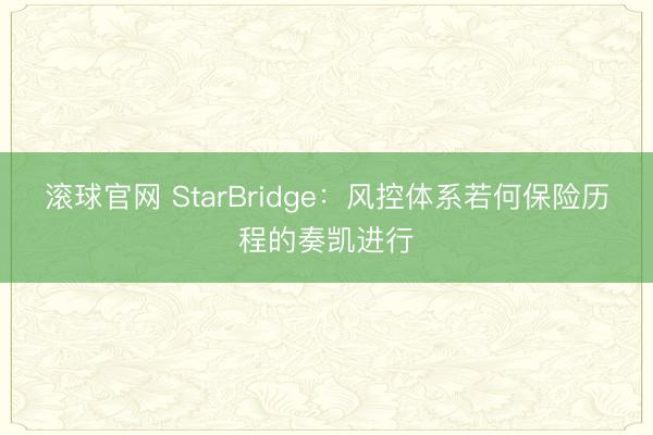 滚球官网 StarBridge：风控体系若何保险历程的奏凯进行