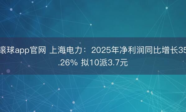 滚球app官网 上海电力：2025年净利润同比增长35.26% 拟10派3.7元