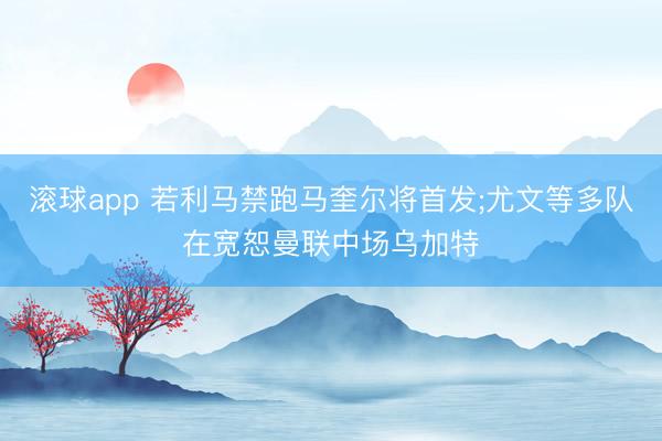 滚球app 若利马禁跑马奎尔将首发;尤文等多队在宽恕曼联中场乌加特