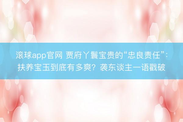 滚球app官网 贾府丫鬟宝贵的“忠良责任”:扶养宝玉到底有多爽?袭东谈主一语戳破