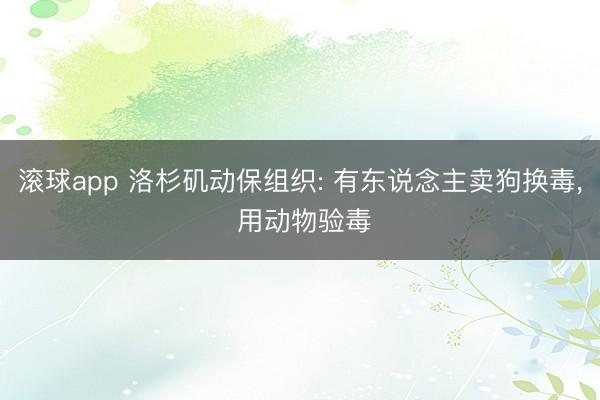 滚球app 洛杉矶动保组织: 有东说念主卖狗换毒， 用动物验毒