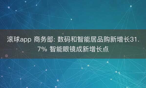 滚球app 商务部: 数码和智能居品购新增长31.7% 智能眼镜成新增长点