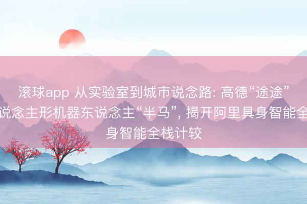 滚球app 从实验室到城市说念路: 高德“途途”亮相东说念主形机器东说念主“半马”， 揭开阿里具身智能全栈计较