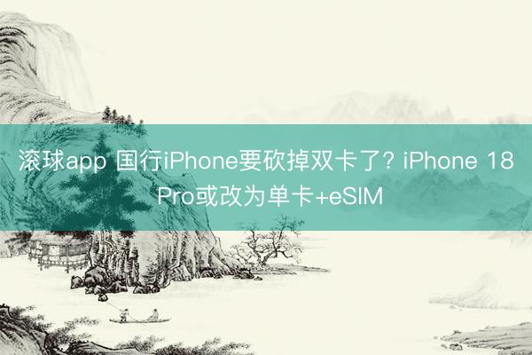 滚球app 国行iPhone要砍掉双卡了? iPhone 18 Pro或改为单卡+eSIM