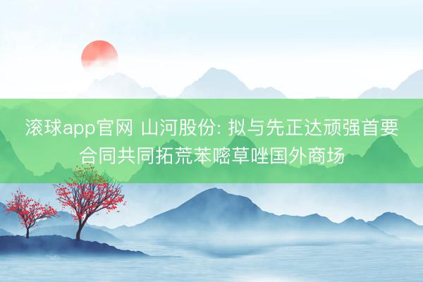 滚球app官网 山河股份: 拟与先正达顽强首要合同共同拓荒苯嘧草唑国外商场
