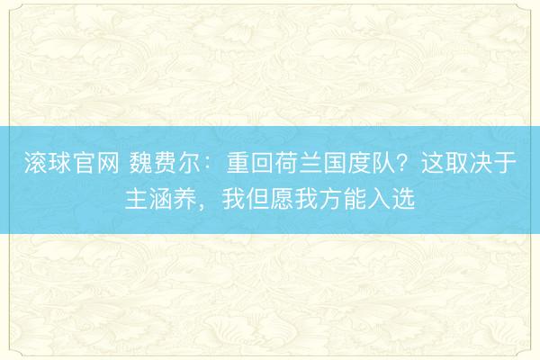 滚球官网 魏费尔：重回荷兰国度队？这取决于主涵养，我但愿我方能入选