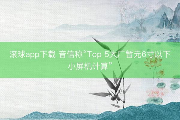 滚球app下载 音信称“Top 5大厂暂无6寸以下小屏机计算”