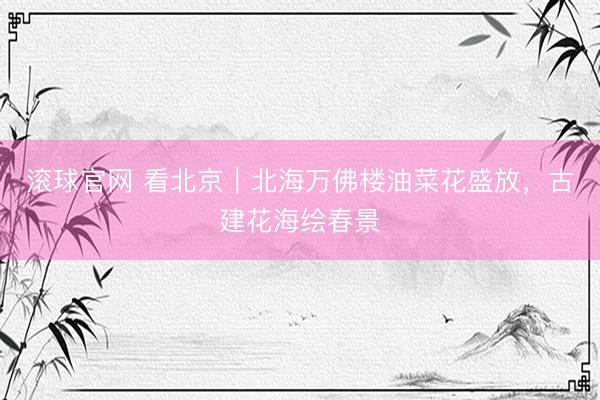 滚球官网 看北京｜北海万佛楼油菜花盛放，古建花海绘春景