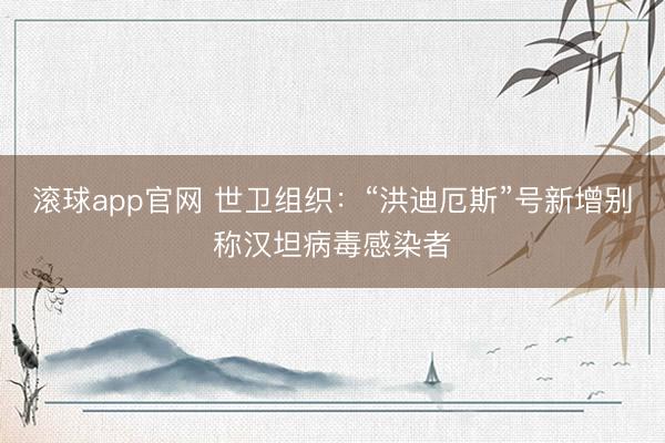 滚球app官网 世卫组织：“洪迪厄斯”号新增别称汉坦病毒感染者