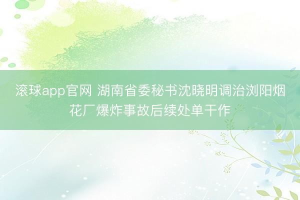 滚球app官网 湖南省委秘书沈晓明调治浏阳烟花厂爆炸事故后续处单干作